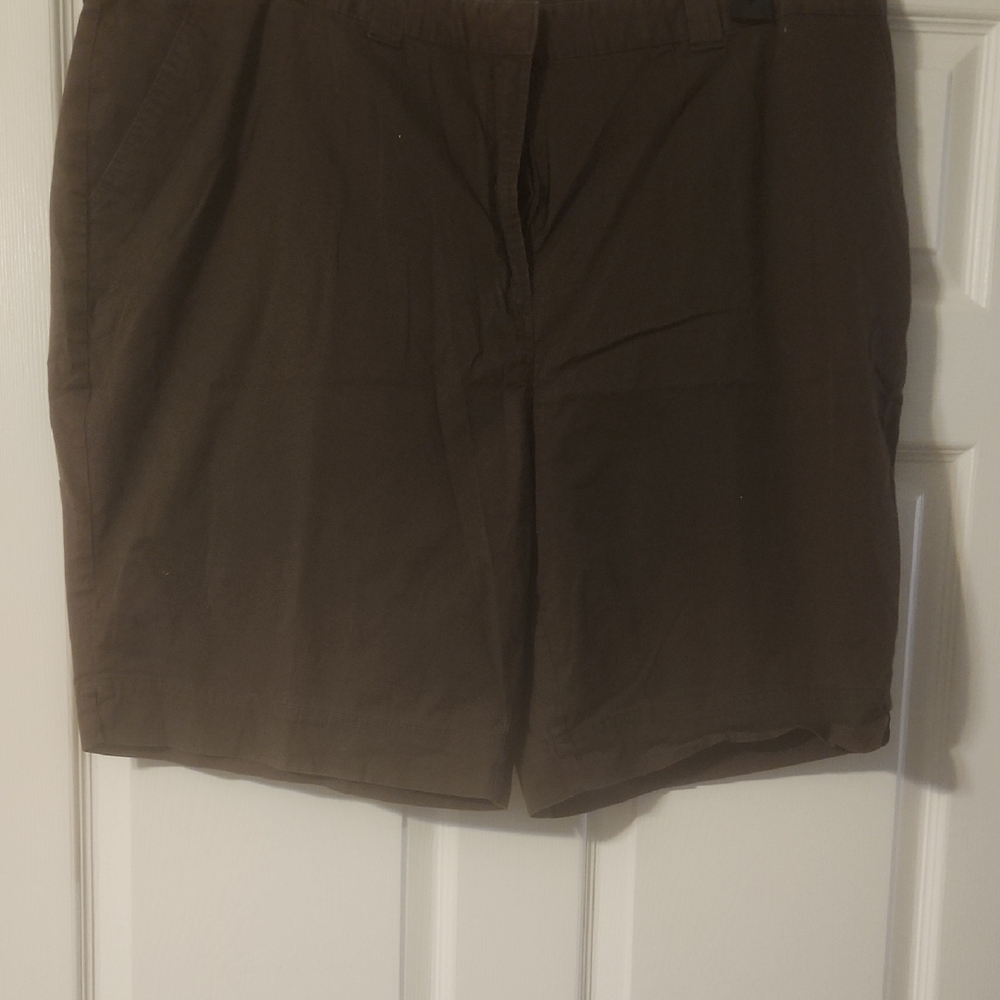 Kim Rogers Women's Brown Shorts Size 24w